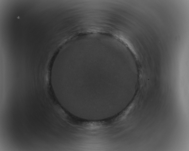 X0000089950305200706291216