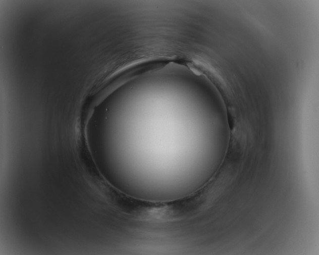 X0000089950306200706291216