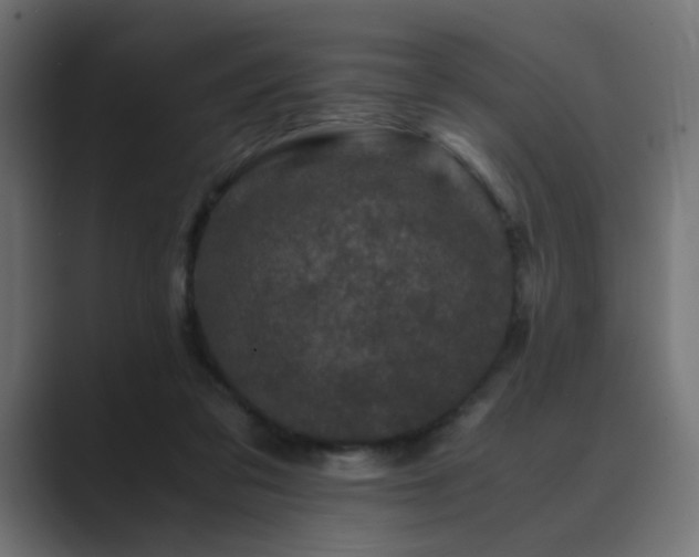 X0000089950309200706291216