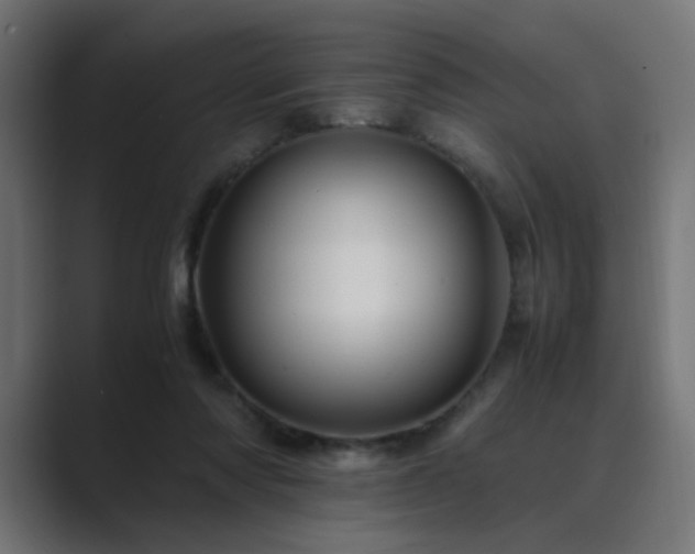 X0000089950310200706291216