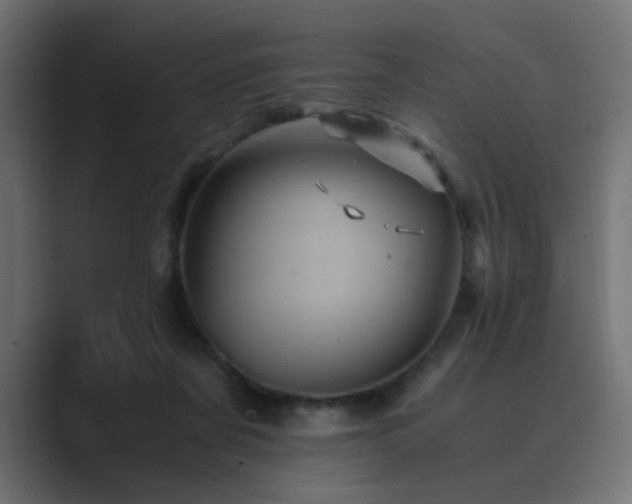 X0000089950311200706291216