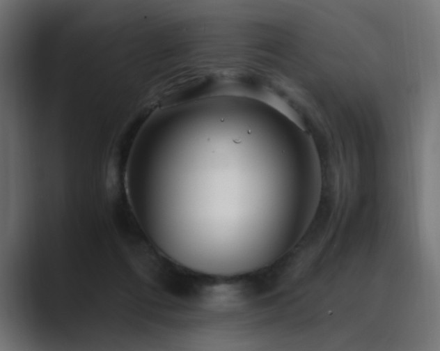 X0000089950312200706291216