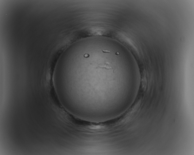 X0000089950314200706291216