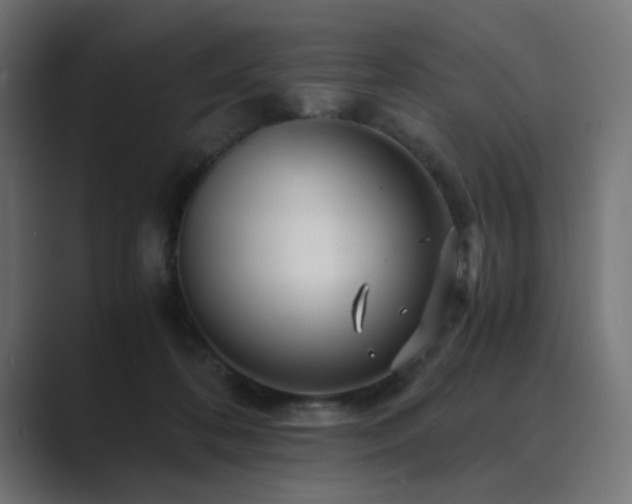 X0000089950316200706291216