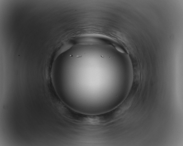 X0000089950317200706291216
