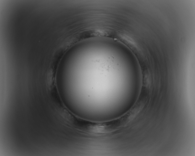 X0000089950318200706291216