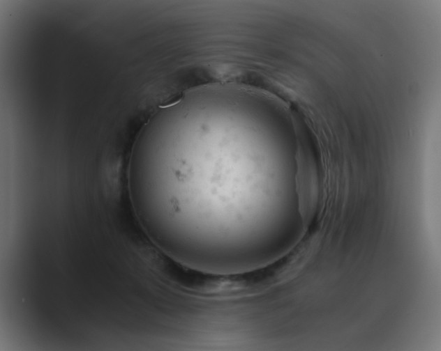 X0000089950319200706291216