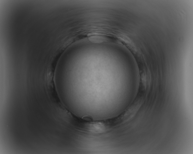 X0000089950322200706291216