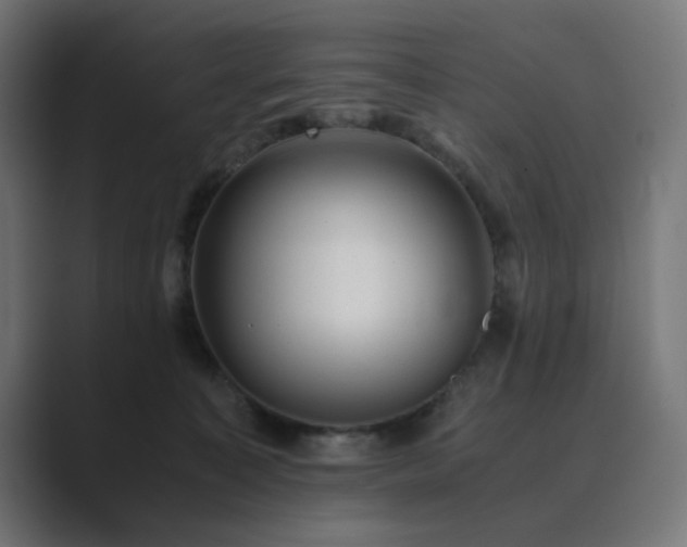 X0000089950323200706291216