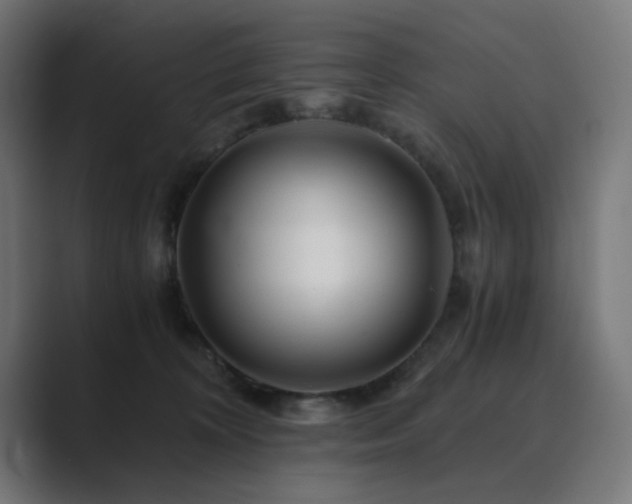 X0000089950324200706291216
