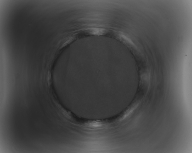 X0000089950325200706291216