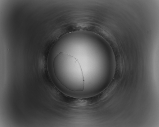 X0000089950328200706291216