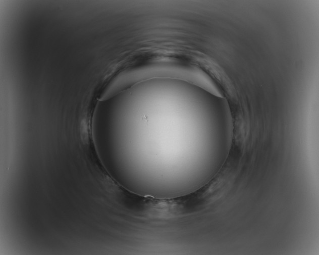 X0000089950329200706291216