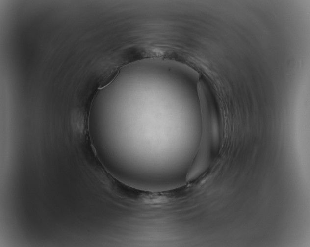 X0000089950331200706291216