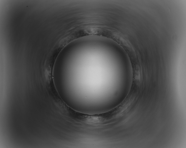 X0000089950332200706291216