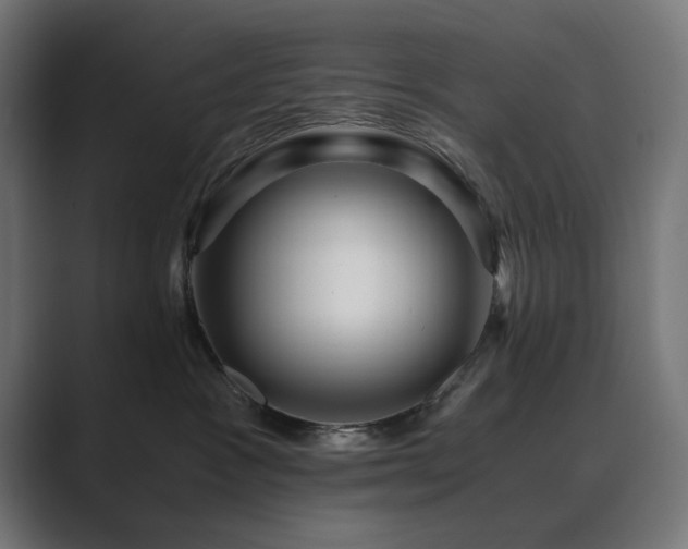 X0000089950333200706291216