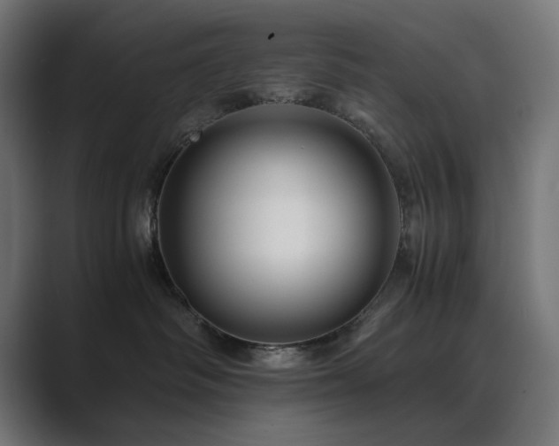 X0000089950334200706291216