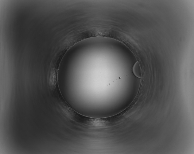 X0000089950336200706291216