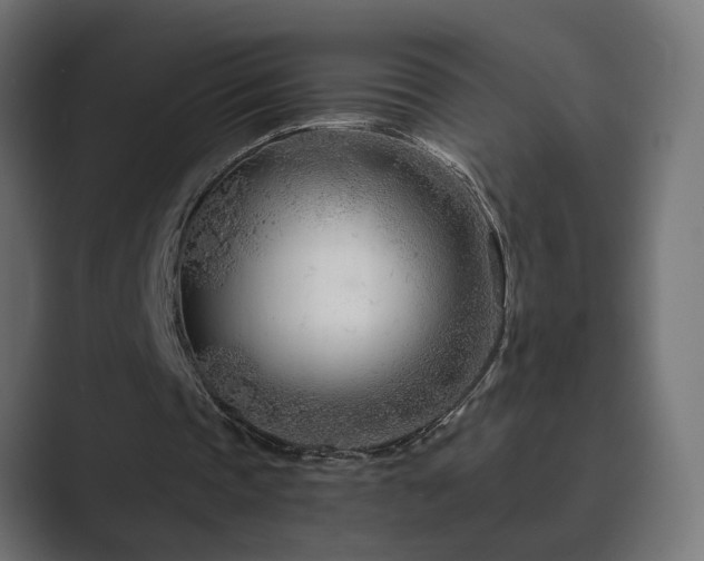 X0000089950337200706291215