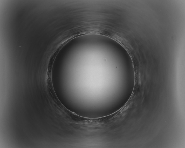 X0000089950338200706291215
