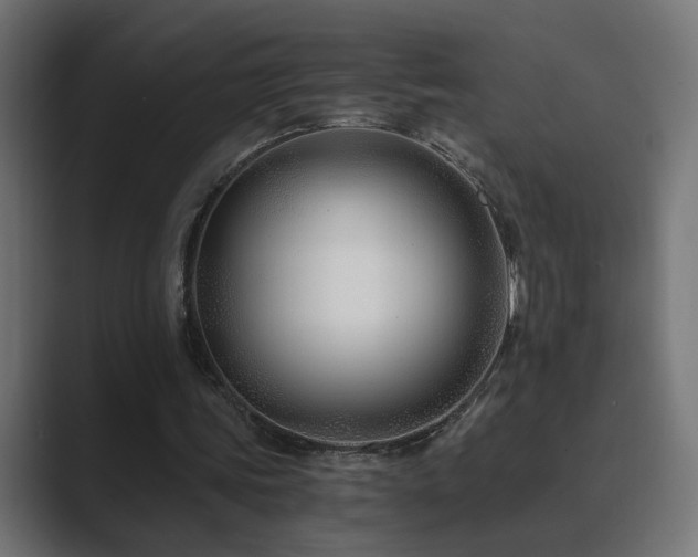 X0000089950339200706291215