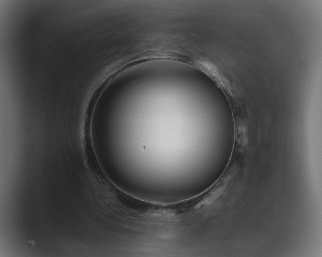 X0000089950340200706291215