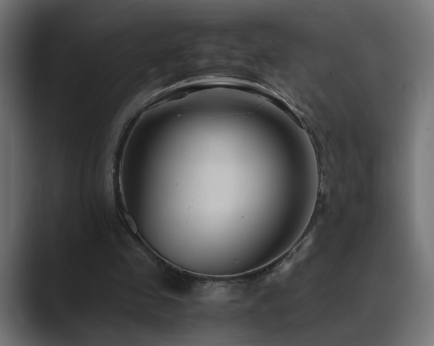 X0000089950341200706291215