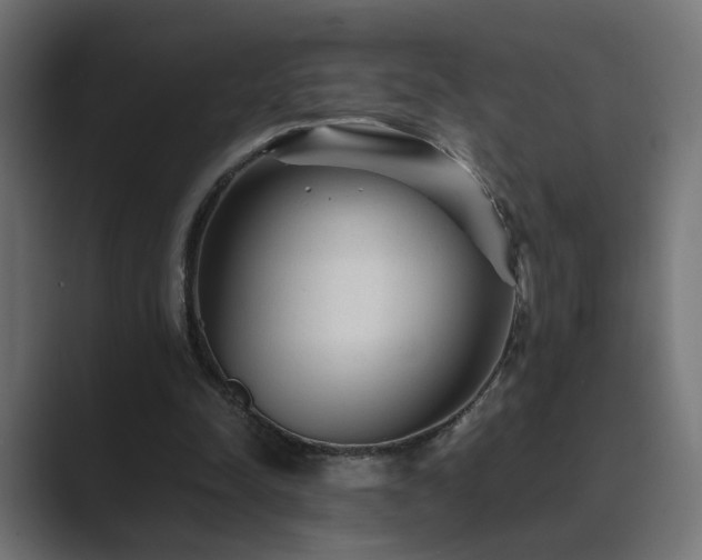 X0000089950342200706291215