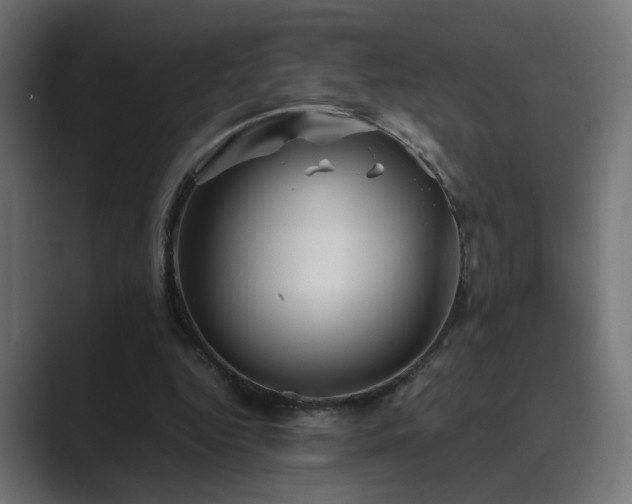 X0000089950344200706291215