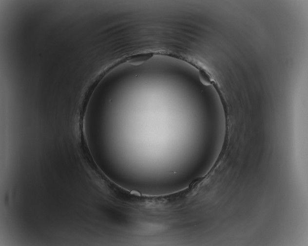 X0000089950345200706291215