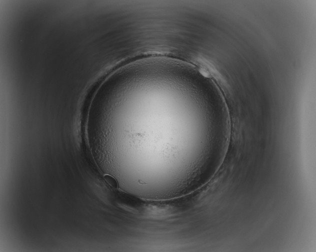 X0000089950346200706291215