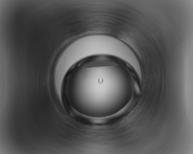 X0000089950348200706291215