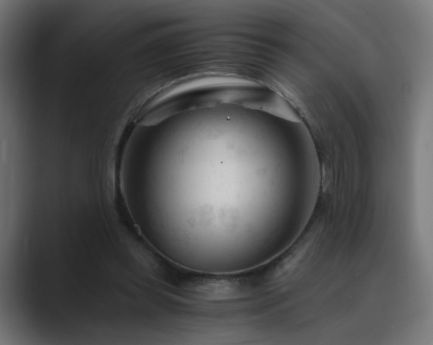 X0000089950349200706291215