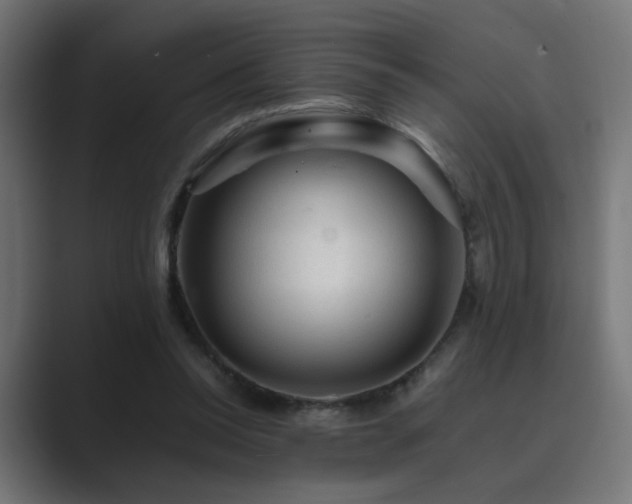 X0000089950350200706291215