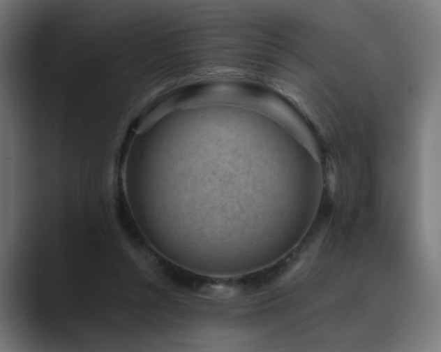 X0000089950352200706291215