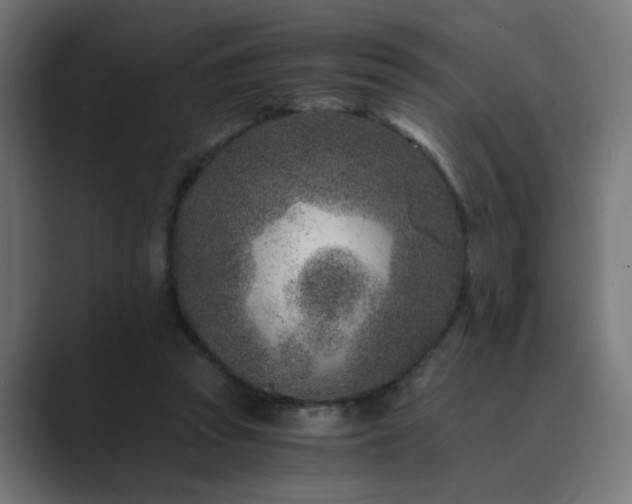 X0000089950353200706291215