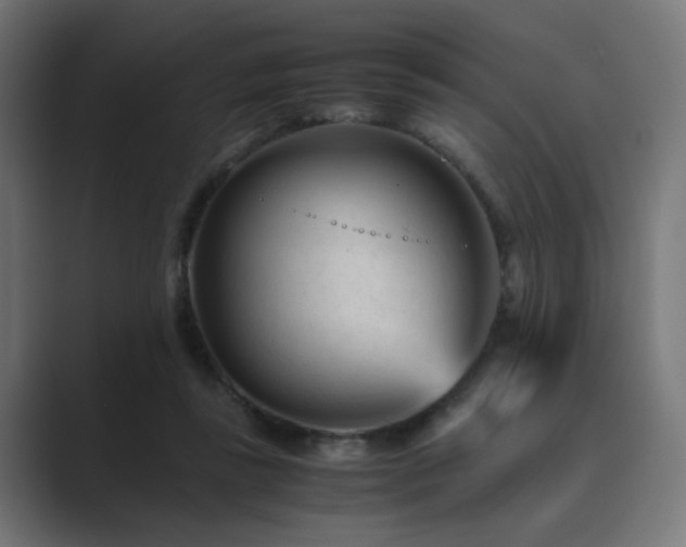 X0000089950355200706291216