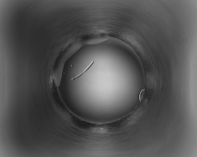 X0000089950358200706291216