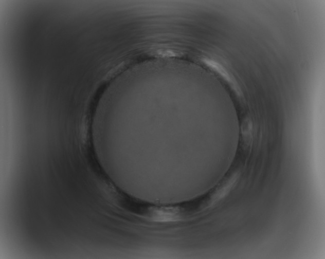 X0000089950359200706291216