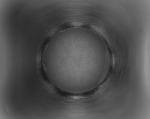 X0000089950360200706291216