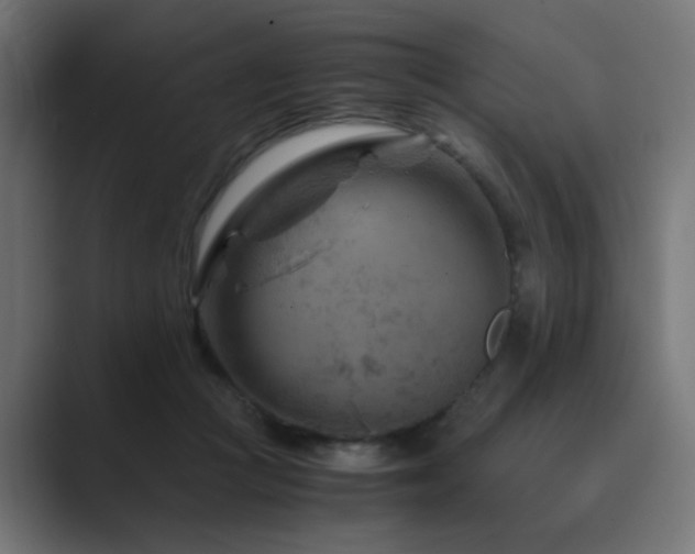 X0000089950361200706291216