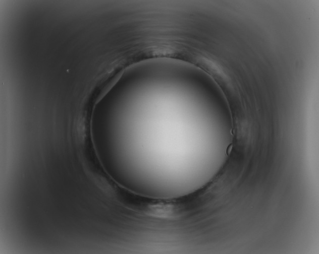 X0000089950362200706291216