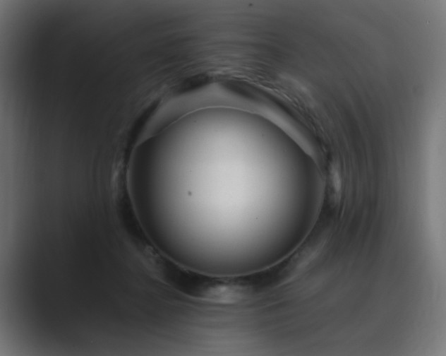 X0000089950364200706291216