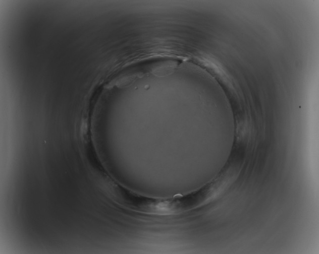 X0000089950365200706291216