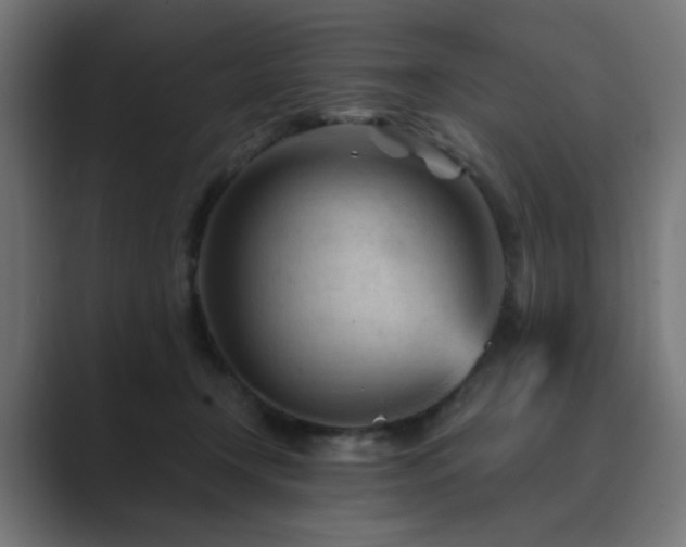 X0000089950366200706291216