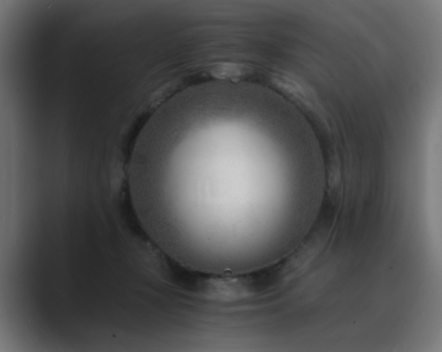 X0000089950367200706291216