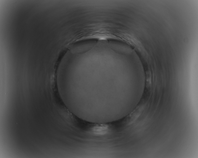 X0000089950369200706291216