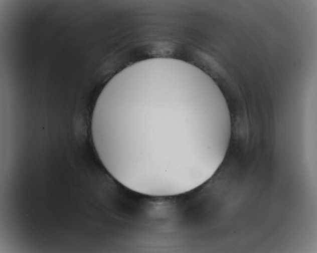 X0000089950370200706291216