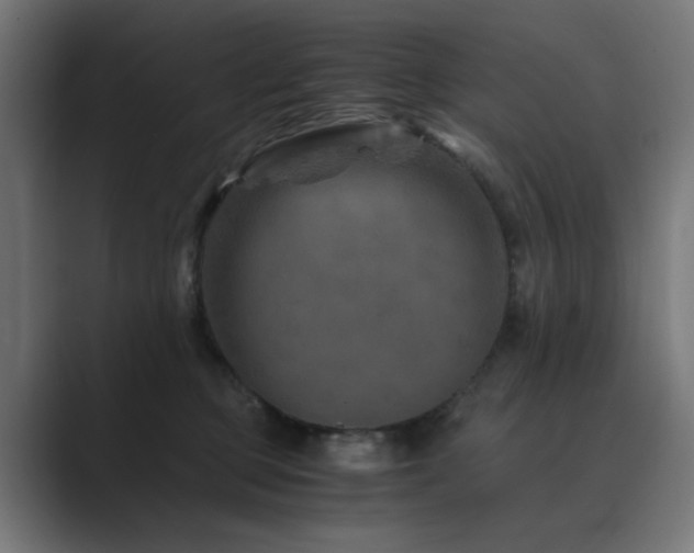 X0000089950373200706291216