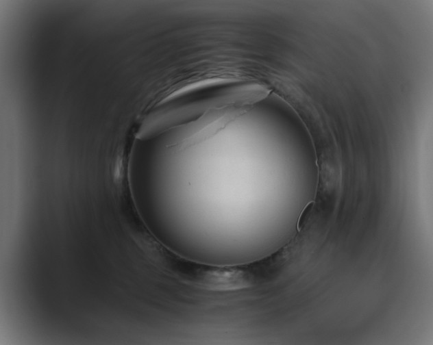 X0000089950375200706291216